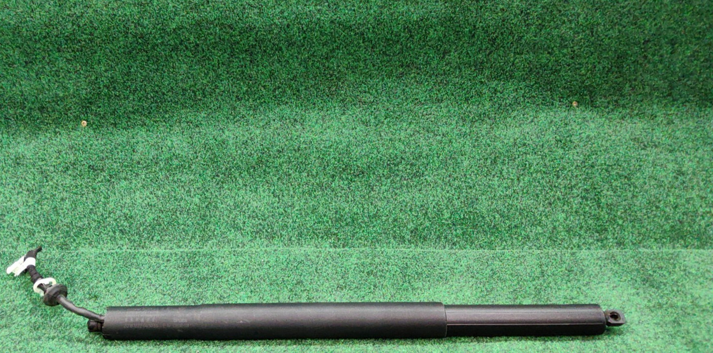 2019-2025 BMW X5 Hatch Support Struts OEM 51477950119