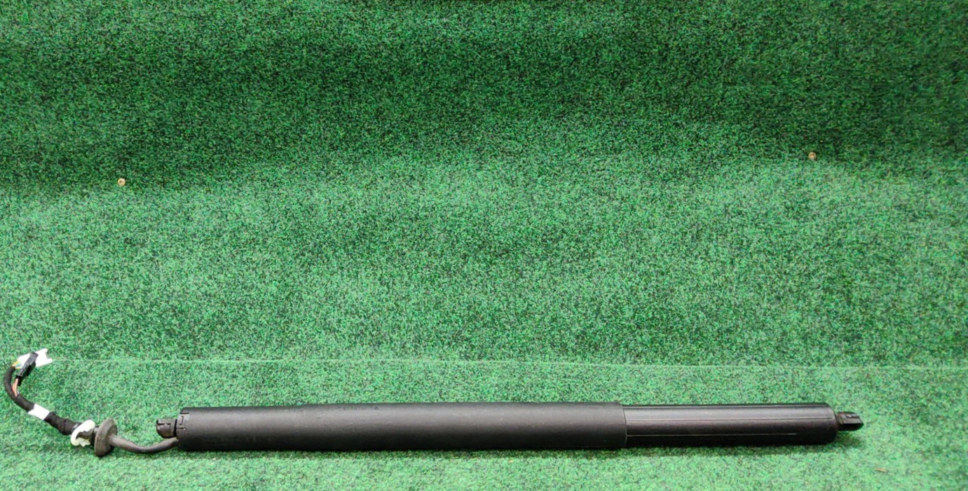 2019-2025 BMW X5 Hatch Support Struts OEM 51477950119